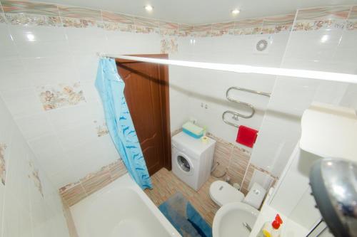 托木斯克Apartment On Kievskaya 90的一间带卫生间和水槽的小浴室