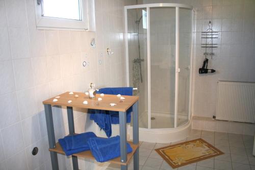 奥门豪斯特Ferienwohnungen Haus Mecklenburg的一间带水槽和淋浴的浴室