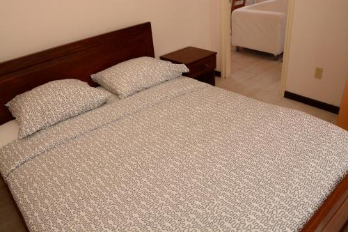 帕拉马里博Wilhelmina Hotel & Apartments的卧室内的一张带两个枕头的床
