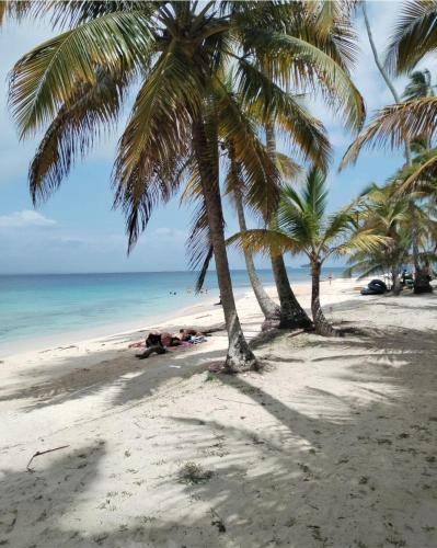 Arritupo Número DosBonitas Islas de San Blas的海滩上一棵棕榈树和大海