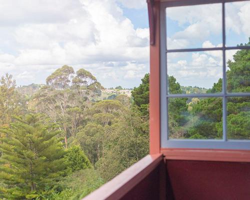 肯图巴Katoomba Mountain Lodge的享有森林树木景致的窗户