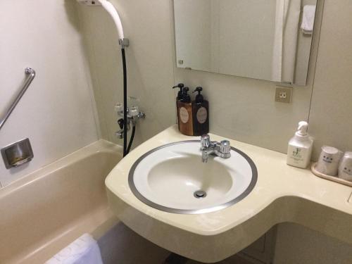 旭川旭川东洋酒店的浴室配有盥洗盆、镜子和浴缸