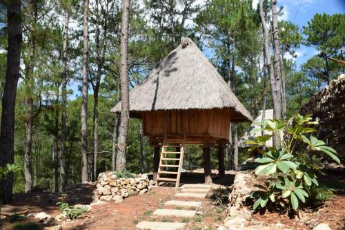 萨加达萨加达民俗村山林小屋的相册照片