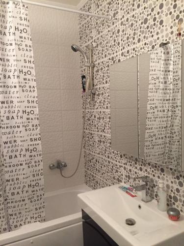 普里什蒂纳Apartment Royal的带淋浴、盥洗盆和镜子的浴室