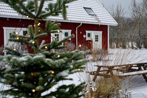 Apelviken Lägenhetshotell