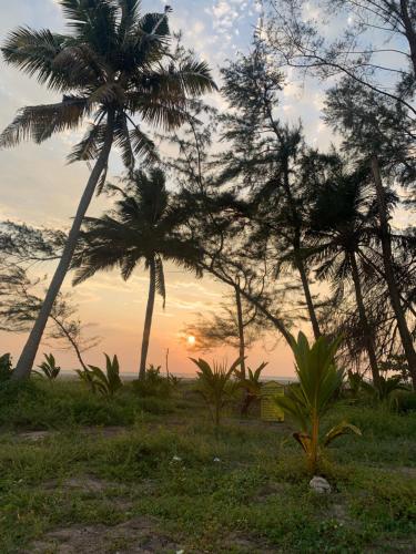 阿勒皮Shoreline Marari Beach Villa At Golden Beach Mararikulam的一组棕榈树,背景是日落