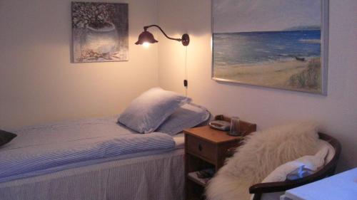 英斯约Ängshyddan B&B的一间卧室配有一张床和一个带灯的床头柜