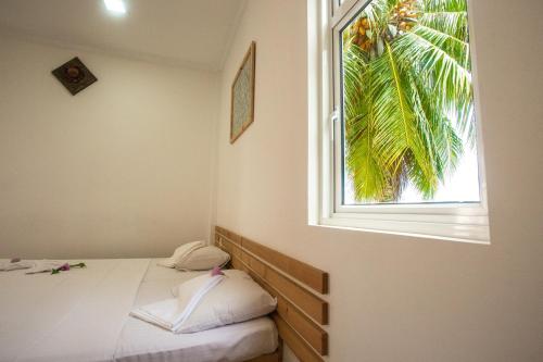 马富施Faza View Inn, Maafushi的一间卧室设有一张床,窗户拥有棕榈树