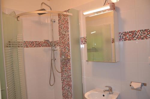 奥斯特鲁兹纳Apartments Haltmar的带淋浴和盥洗盆的浴室