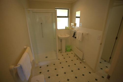 Owaka卡特林斯地区汽车旅馆的带淋浴和盥洗盆的浴室