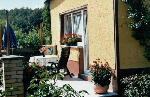萨斯尼茨Ferienhaus Frisch的庭院配有椅子和鲜花桌