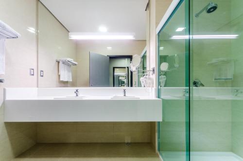 帕萨夸特鲁Mira Serra Parque Hotel的一间带水槽和玻璃淋浴的浴室