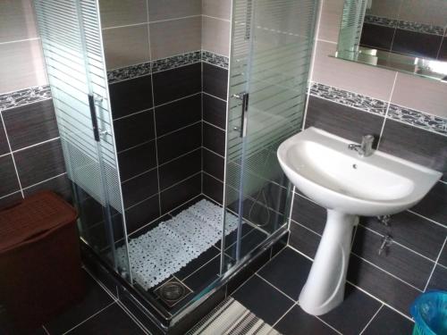 扎布利亚克乌索维克公寓的浴室配有水槽和带水槽的淋浴