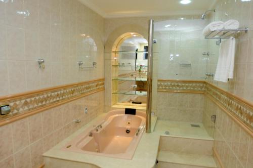 ParagominasMavil Plaza Hotel的大型浴室设有浴缸和淋浴。