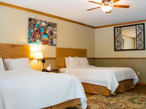 新布朗费尔斯施利特班度假村的酒店客房配有两张床和吊扇。