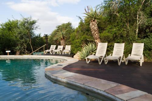 BuffeljagsrivierStonehill River Lodge by Dream Resorts的一组椅子坐在游泳池旁