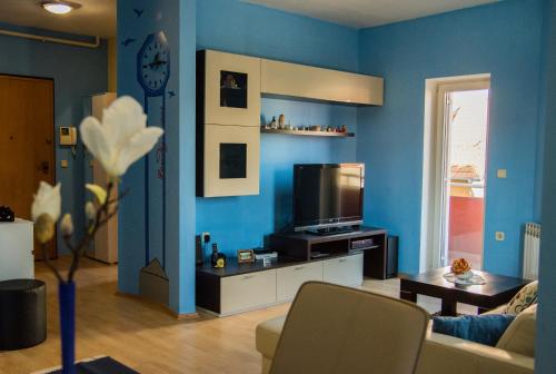 萨格勒布基洛公寓的客厅设有蓝色的墙壁和电视。
