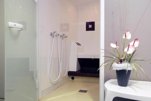 斯特拉斯堡奥德利斯绿沼泽公寓式酒店的一间浴室