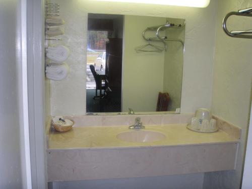 克利夫兰阿普尔盖特旅馆的一间带水槽和镜子的浴室