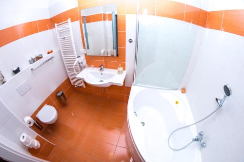 奥洛穆茨奥洛穆茨放松公寓的带淋浴、卫生间和盥洗盆的浴室