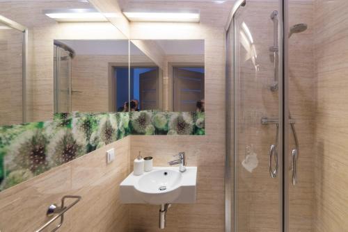索波特w索波西丢帕西公寓的一间带水槽和淋浴的浴室