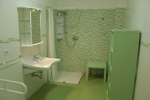 圣卡特琳娜迪纳德Monolocale Santa Caterina的一间带水槽和淋浴的浴室