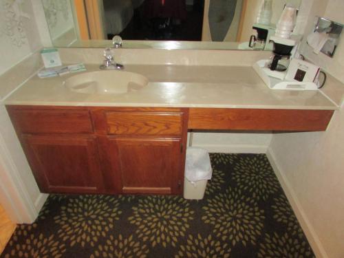 米灵顿种植橡树酒店的一间带水槽和镜子的浴室
