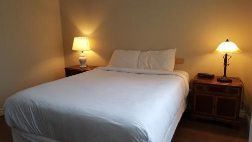 加蒂诺迪韦奈公寓的一间卧室配有一张带两盏灯的大型白色床。