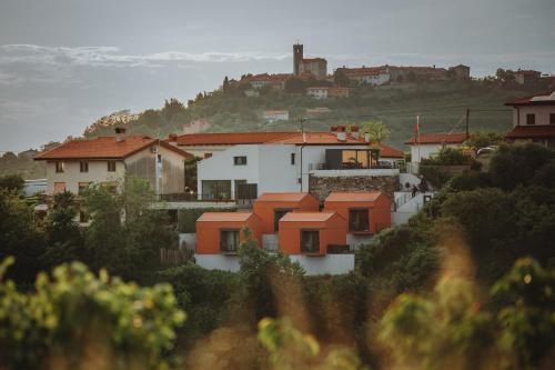 Glamping Senesalina