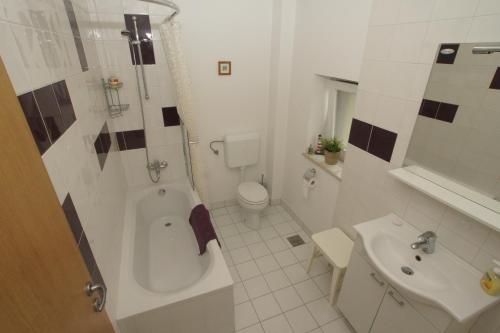 博维茨Chalet Floranneve的带浴缸、卫生间和盥洗盆的浴室