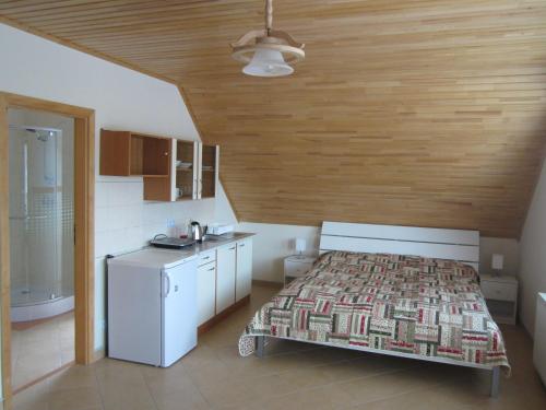 利普托斯基米库拉斯Apartments Centrum的一间卧室配有一张床和一个小厨房