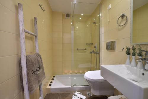 帕罗奇亚阿波罗精品酒店的带淋浴、盥洗盆和卫生间的浴室