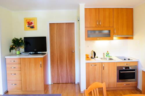 罗加斯卡斯拉提纳Apartment Park 16的一间带木制橱柜和水槽的厨房以及一台电视。