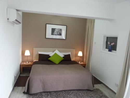 尼科西亚DownTown Living By 'Flats Nicosia'的一间卧室配有一张带绿色枕头的床