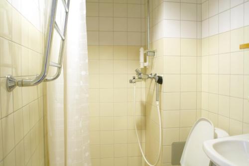 托尔尼奥乔恩塔罗酒店的带淋浴、卫生间和盥洗盆的浴室