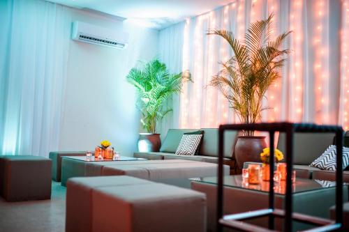 阿克拉热带飞地酒店 的带沙发和植物的客厅