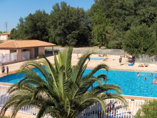 圣西普里安Lagrange Grand Bleu Vacances – Résidence Les Pierres de Jade的游泳池前的棕榈树