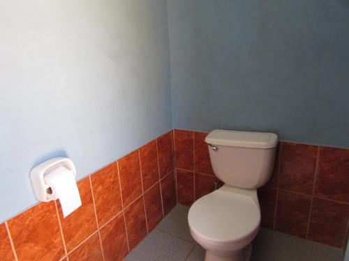 奥科苏尤Titicaca Chaska Wasi Amantani的浴室设有卫生间和一卷卫生纸
