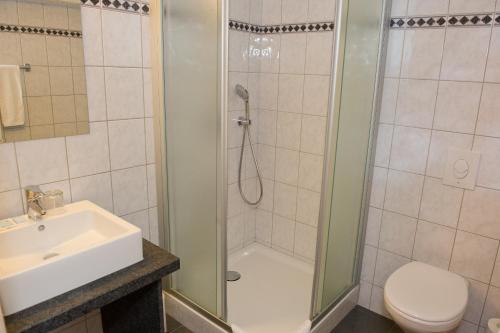 Orchimont圣马丁酒店的带淋浴、卫生间和盥洗盆的浴室