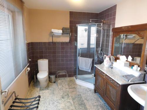 德塞尔金龙酒店 的带淋浴、盥洗盆和卫生间的浴室