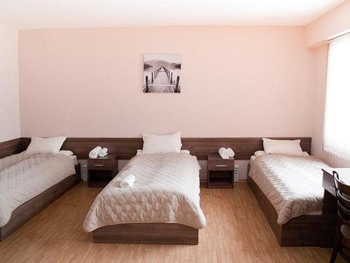 季米特洛夫格勒Motel Maritsa的一间客房内配有两张床的房间