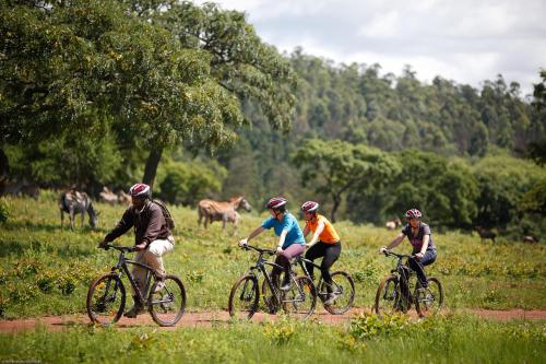 LobambaMlilwane Game Sanctuary的一群人骑着自行车在土路上