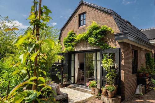 Guesthouse Rotterdam, tinyhouse nearby Kralingen