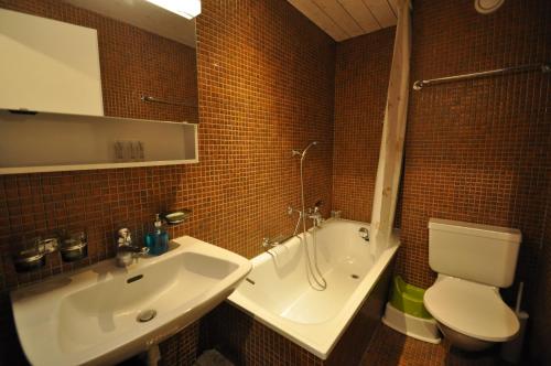 采尔马特伽玛公寓的浴室配有白色水槽和卫生间。