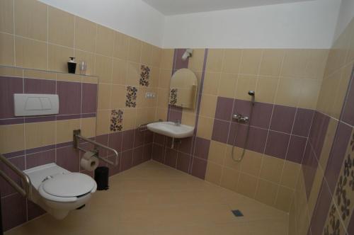 切拉科维采托斯卡酒店的一间带卫生间和水槽的浴室