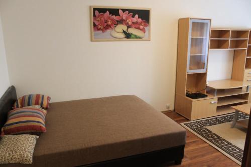 布达佩斯路易公寓的一间卧室设有一张床和一个书架