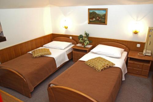 查科韦茨Guest house Royal的一间酒店客房,房间内设有两张床