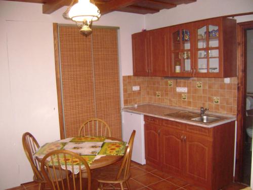 波罗斯洛Pásztor Vendégház的厨房配有桌子、水槽和桌椅