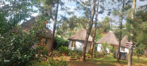 BN Private Beach & Resort - Jinja