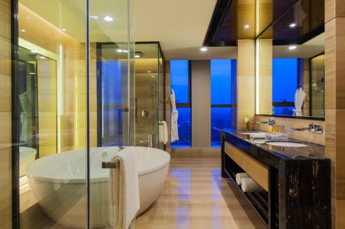 天津天津梅江中心皇冠假日酒店的带浴缸、卫生间和盥洗盆的浴室